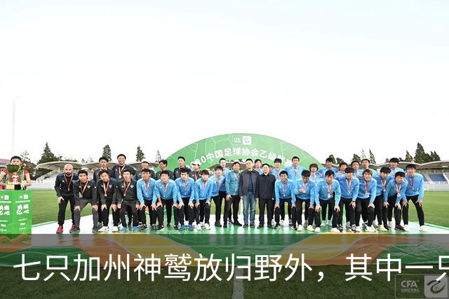 七只加州神鹫放归野外，其中一只是第200只