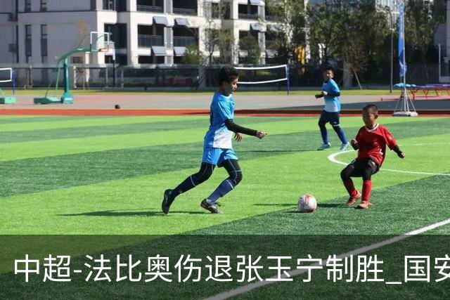 中超-法比奥伤退张玉宁制胜 国安1-0西海岸14轮不败