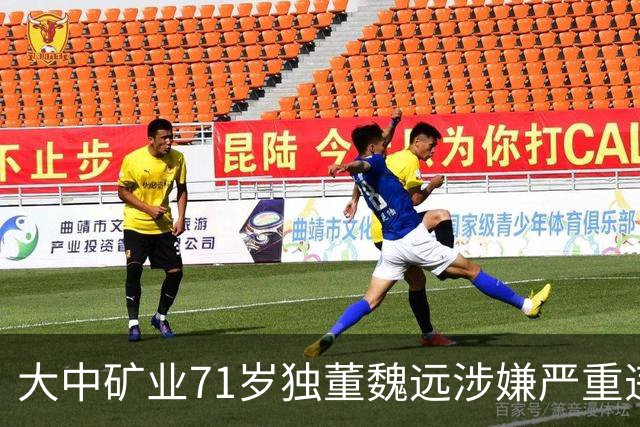 大中矿业71岁独董魏远涉嫌严重违纪违法，接受纪律审查和监察调查