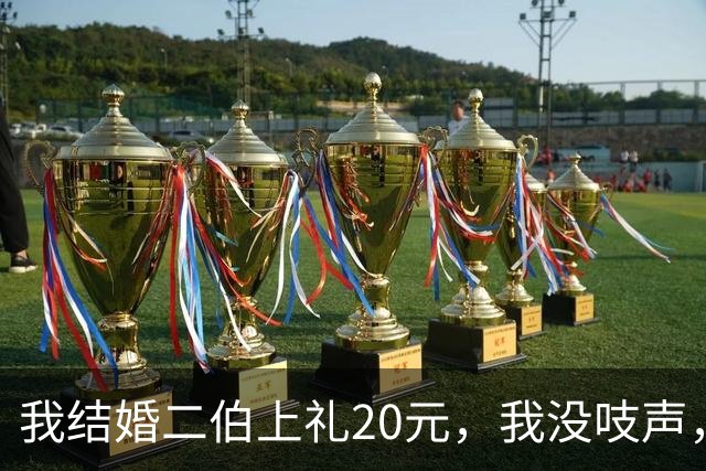 我结婚二伯上礼20元，我没吱声，三个月后堂弟婚宴，我当场只还20元