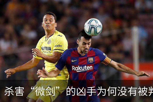 杀害“微剑”的凶手为何没有被判处死刑立即执行？！