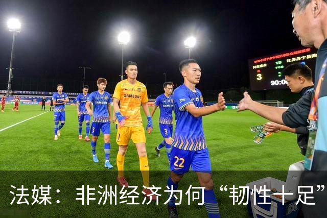 法媒：非洲经济为何“韧性十足”？