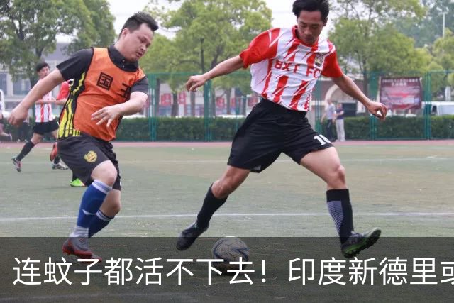 连蚊子都活不下去！印度新德里或将不适合人类居住，警报已拉响了