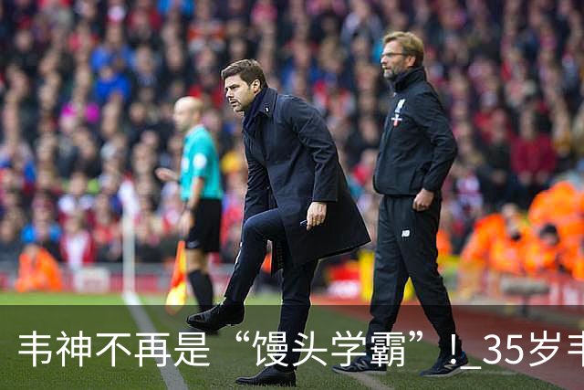 韦神不再是“馒头学霸”! 35岁韦东奕悄悄完成落地