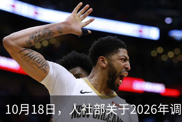 10月18日，人社部关于2026年调整退休人员养老金的通知公布了吗？
