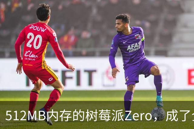 512MB内存的树莓派Zero，成了全家网络的DNS中枢