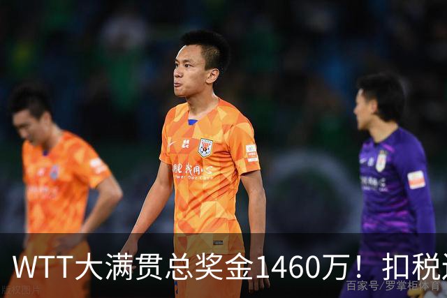 WTT大满贯总奖金1460万！扣税还要分摊团队成本，王曼昱最后能拿到多少钱？